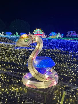 伊豆ぐらんぱる公園に投稿された画像（2023/11/15）