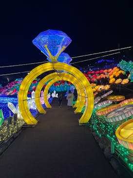 伊豆ぐらんぱる公園に投稿された画像（2023/11/15）