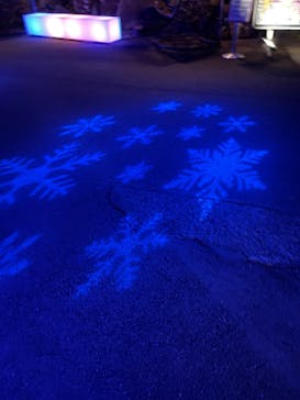 伊豆ぐらんぱる公園に投稿された画像（2023/11/15）