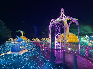 伊豆ぐらんぱる公園に投稿された画像（2023/11/15）