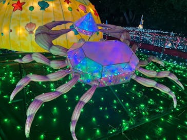 伊豆ぐらんぱる公園に投稿された画像（2023/11/15）