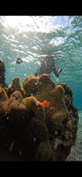 宮古島 ADVENTURE PiPi（ミヤコジマ アドベンチャー ピピ）に投稿された画像（2023/11/15）