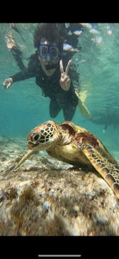 宮古島 ADVENTURE PiPi（ミヤコジマ アドベンチャー ピピ）に投稿された画像（2023/11/15）