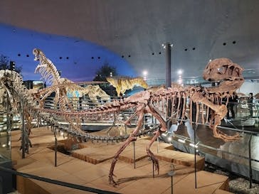 福井県立恐竜博物館に投稿された画像（2023/11/15）