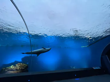 横浜・八景島シーパラダイスに投稿された画像（2023/11/15）