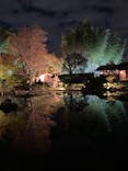 国営昭和記念公園 秋の夜散歩に投稿された画像（2023/11/15）