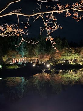 国営昭和記念公園 秋の夜散歩に投稿された画像（2023/11/15）
