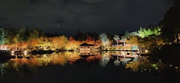 国営昭和記念公園 秋の夜散歩に投稿された画像（2023/11/15）