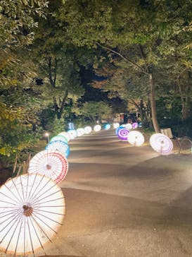 国営昭和記念公園 秋の夜散歩に投稿された画像（2023/11/15）