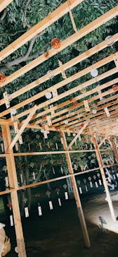 国営昭和記念公園 秋の夜散歩に投稿された画像（2023/11/15）