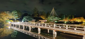 国営昭和記念公園 秋の夜散歩に投稿された画像（2023/11/15）