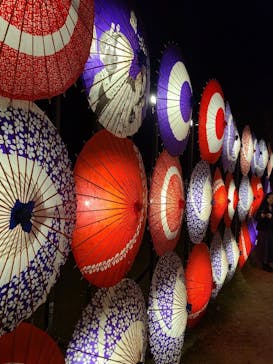 国営昭和記念公園 秋の夜散歩に投稿された画像（2023/11/15）