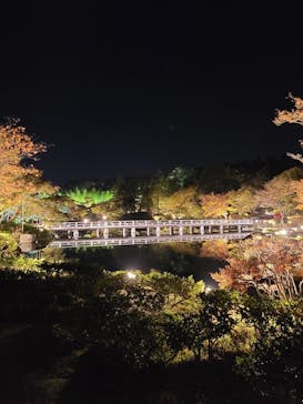 国営昭和記念公園 秋の夜散歩に投稿された画像（2023/11/15）