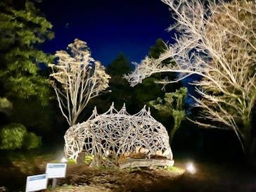 国営昭和記念公園 秋の夜散歩に投稿された画像（2023/11/15）