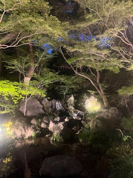 国営昭和記念公園 秋の夜散歩に投稿された画像（2023/11/15）