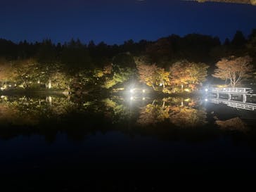 国営昭和記念公園 秋の夜散歩に投稿された画像（2023/11/15）