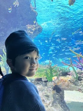 サンシャイン水族館に投稿された画像（2023/11/15）