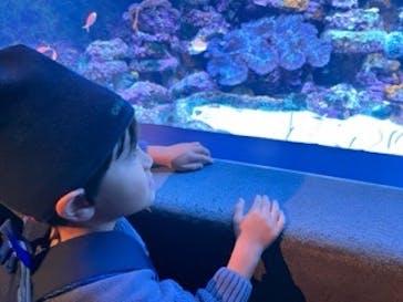 サンシャイン水族館に投稿された画像（2023/11/15）