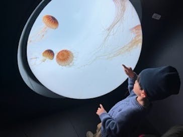 サンシャイン水族館に投稿された画像（2023/11/15）