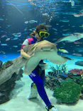 サンシャイン水族館に投稿された画像（2023/11/16）