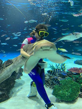 サンシャイン水族館に投稿された画像（2023/11/15）