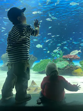 マクセル アクアパーク品川に投稿された画像（2023/11/16）