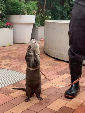 マクセル アクアパーク品川に投稿された画像（2023/11/16）