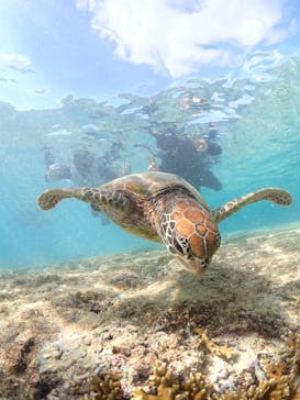 宮古島マリン GB QUESTに投稿された画像（2023/11/16）