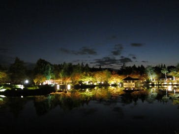 国営昭和記念公園 秋の夜散歩に投稿された画像（2023/11/16）