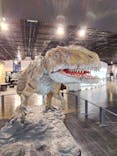 福井県立恐竜博物館に投稿された画像（2023/11/16）