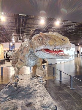 福井県立恐竜博物館に投稿された画像（2023/11/16）