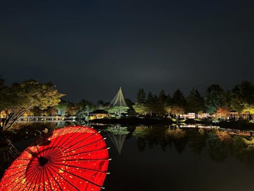 国営昭和記念公園 秋の夜散歩に投稿された画像（2023/11/16）