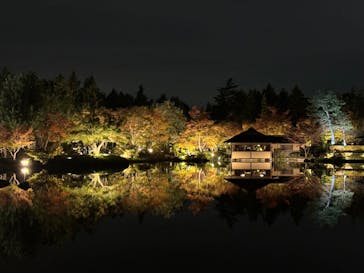 国営昭和記念公園 秋の夜散歩に投稿された画像（2023/11/16）