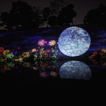 NAKED meets 二条城 2025 観月に投稿された画像（2023/11/16）