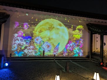 NAKED meets 二条城 2025 観月に投稿された画像（2023/11/16）