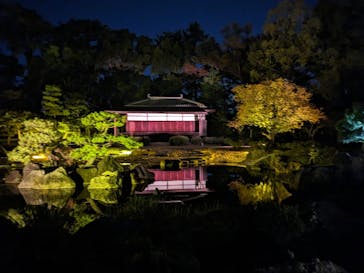 NAKED meets 二条城 2025 観月に投稿された画像（2023/11/16）