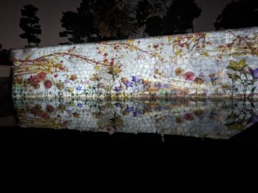 NAKED meets 二条城 2025 観月に投稿された画像（2023/11/16）