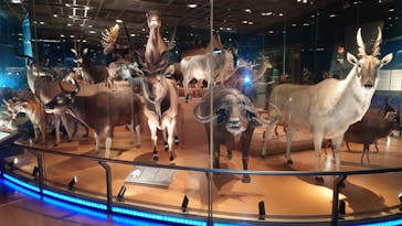 国立科学博物館に投稿された画像（2023/11/16）