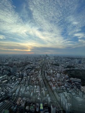六本木ヒルズ展望台 東京シティビューに投稿された画像（2023/11/16）