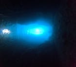 青の洞窟専門店　沖縄ダイビングショップ和に投稿された画像（2023/11/16）