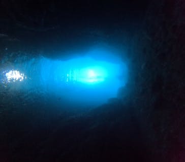 青の洞窟専門店　沖縄ダイビングショップ和に投稿された画像（2023/11/16）