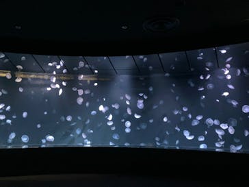 サンシャイン水族館に投稿された画像（2023/11/16）