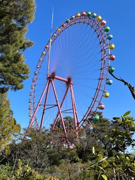 西武園ゆうえんちに投稿された画像（2023/11/16）