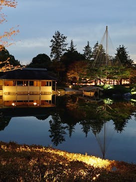 国営昭和記念公園 秋の夜散歩に投稿された画像（2023/11/16）