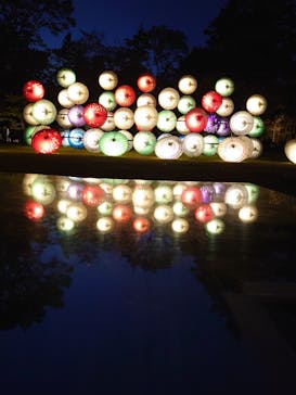 国営昭和記念公園 秋の夜散歩に投稿された画像（2023/11/16）