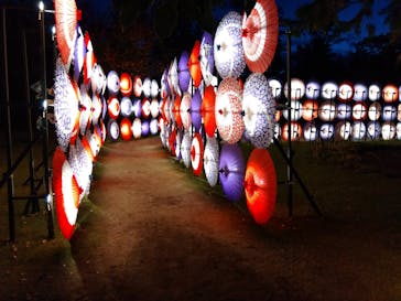 国営昭和記念公園 秋の夜散歩に投稿された画像（2023/11/16）