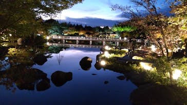 国営昭和記念公園 秋の夜散歩に投稿された画像（2023/11/16）