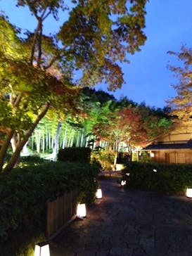 国営昭和記念公園 秋の夜散歩に投稿された画像（2023/11/16）