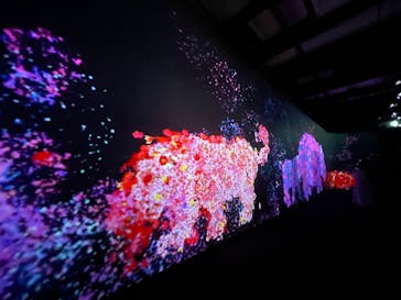 チームラボに投稿された画像（2023/11/16）