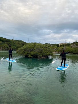 宮古島 ADVENTURE PiPi（ミヤコジマ アドベンチャー ピピ）に投稿された画像（2023/11/16）